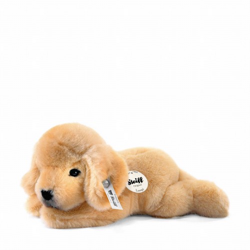 20d68292320c5a6cab78e02df1cc2f66