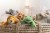 floppy-linda-lamm-242601-1.jpg